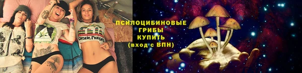 PSILOCYBIN Алексеевка