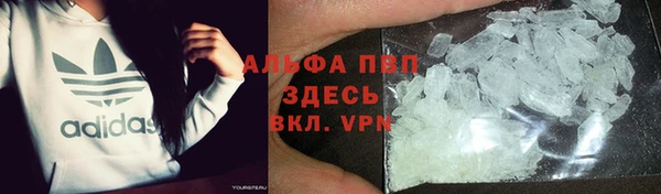PSILOCYBIN Алексеевка