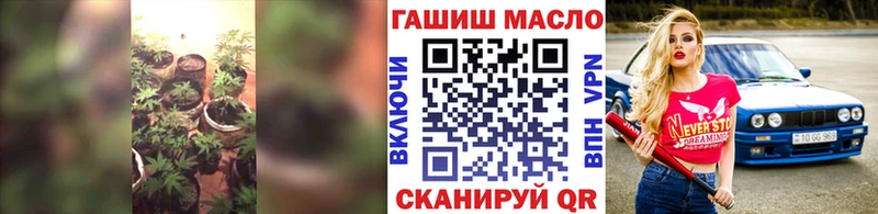 мега как зайти Жиздра Дистиллят ТГК концентрат