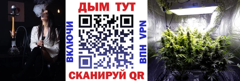 Бошки Шишки семена  где купить наркоту  Жиздра 